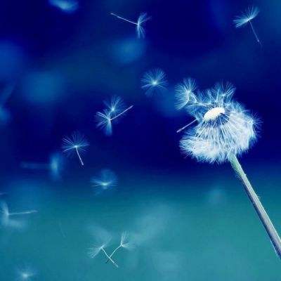 博鱼综合体育APP