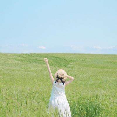 博鱼综合体育APP截图