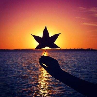 双赢彩票手机app下载