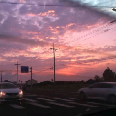 金会年彩票网止